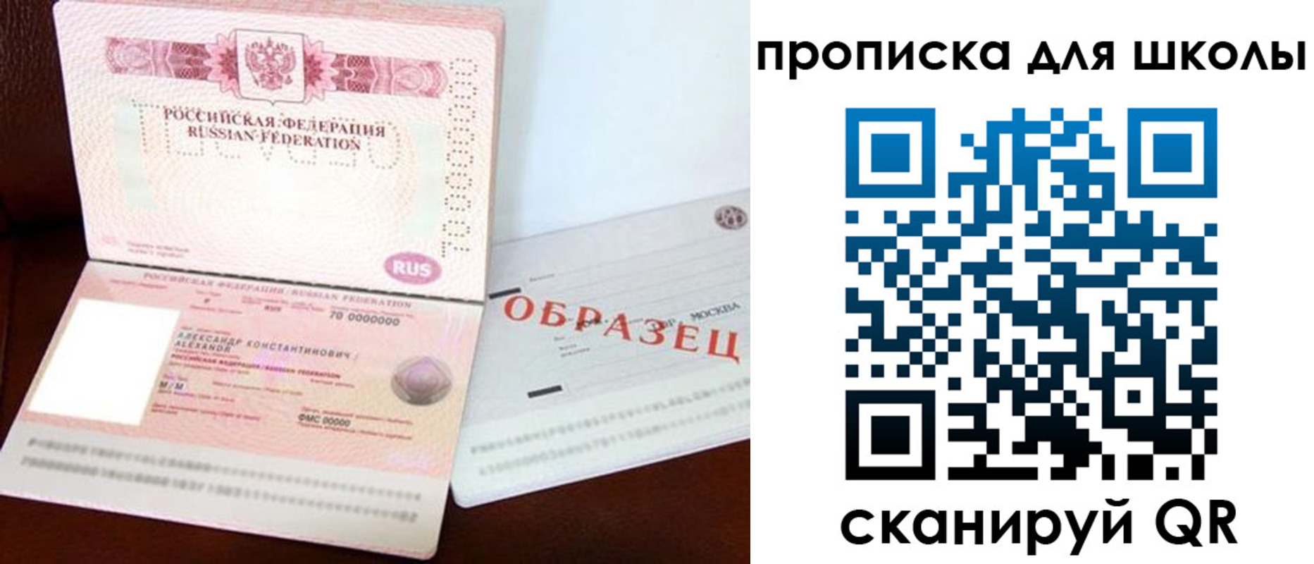 прописка для школы в Торжоке